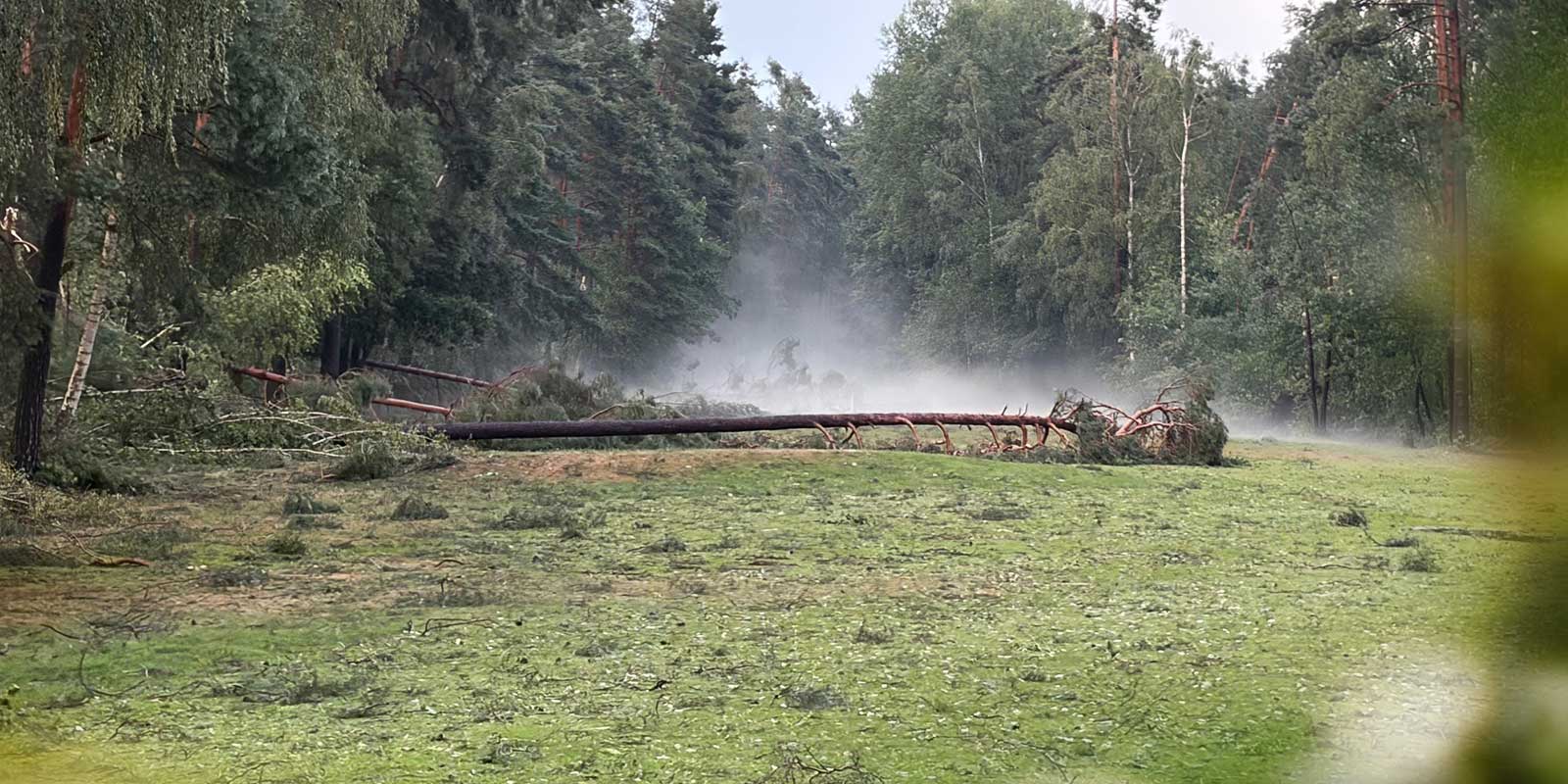 golfclub-nuernberg-sturmschaden